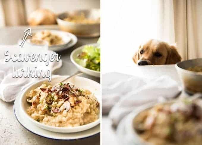 Dozer Risotto