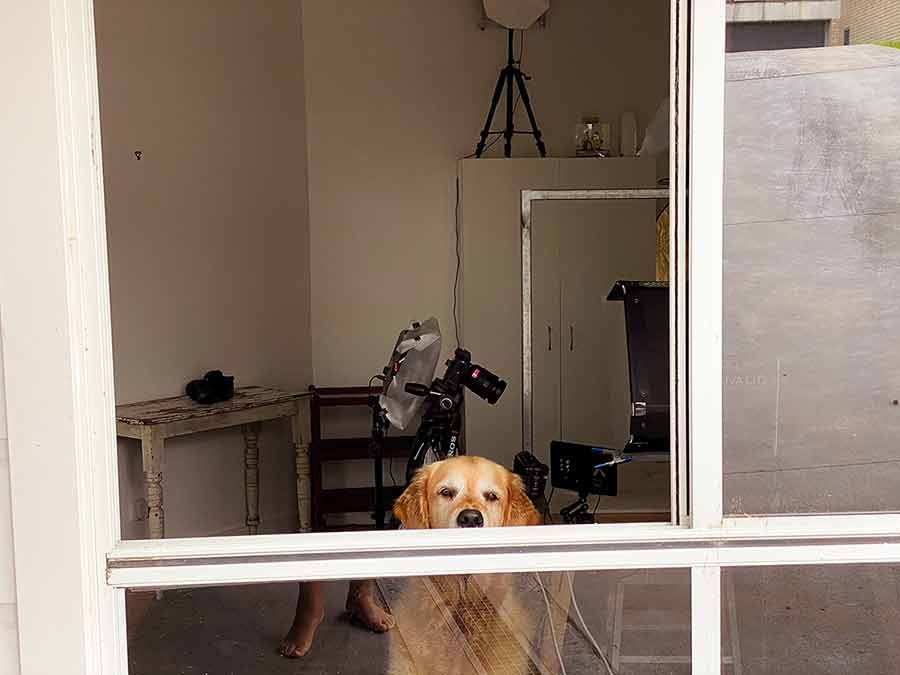 Dozer in lockdown
